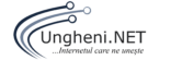 cropped logo ungheni net.png